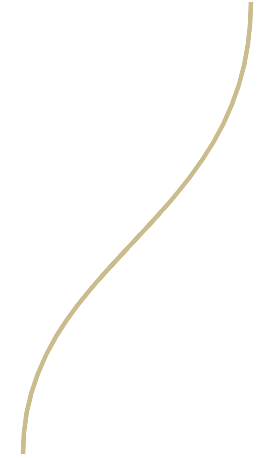 Aspire-melbourne-graphic-nobg